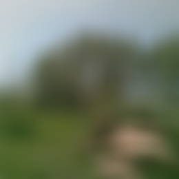 Парень, ищу девушку для секса без обязательств Парень, ищу девушку для секса без обязательств